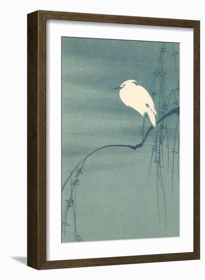 Ibis Perched on Branch-null-Framed Art Print