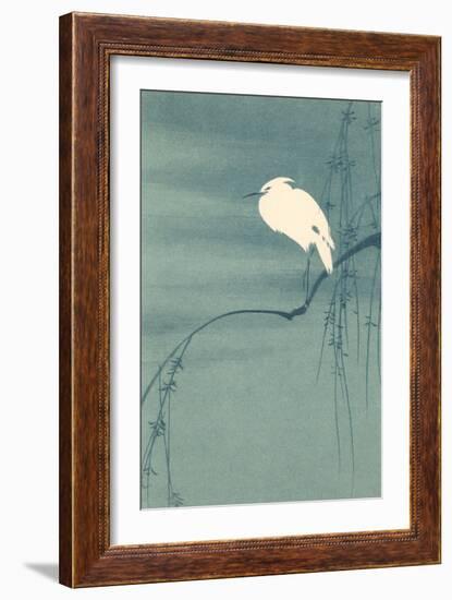 Ibis Perched on Branch-null-Framed Art Print