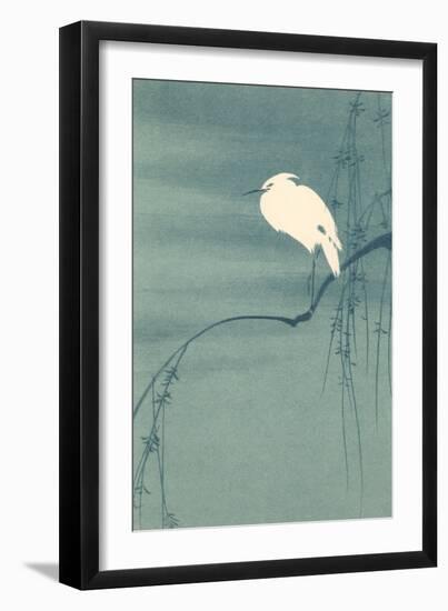 Ibis Perched on Branch-null-Framed Art Print