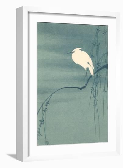 Ibis Perched on Branch-null-Framed Art Print