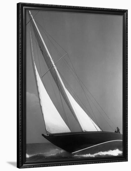 Ibis Yacht Cruising, 1936-Edwin Levick-Framed Art Print