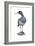 Ibisbill (Ibidorhyncha Struthersii), Birds-Encyclopaedia Britannica-Framed Art Print