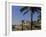 Ibiza Town, Ibiza, Balearic Islands, Spain, Europe-John Miller-Framed Photographic Print