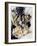 Ibsen: Peer Gynt-Arthur Rackham-Framed Giclee Print