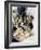 Ibsen: Peer Gynt-Arthur Rackham-Framed Giclee Print