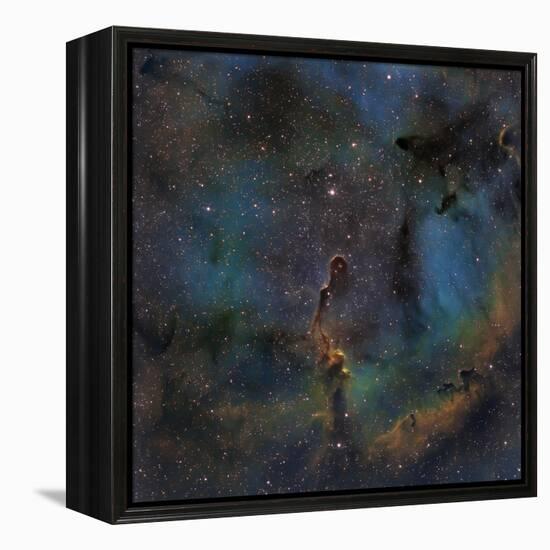 Ic 1396, the Elephant Trunk Nebula-null-Framed Premier Image Canvas