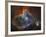 Ic 1805, the Heart Nebula in Cassiopeia-Stocktrek Images-Framed Photographic Print