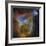 IC 1805, the Heart Nebula-Stocktrek Images-Framed Photographic Print