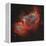 IC 1848, the Soul Nebula-Stocktrek Images-Framed Premier Image Canvas