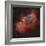 IC 1848, the Soul Nebula-Stocktrek Images-Framed Photographic Print