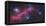 Ic 2177, the Seagull Nebula-Stocktrek Images-Framed Premier Image Canvas