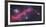 Ic 2177, the Seagull Nebula-Stocktrek Images-Framed Photographic Print