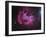 IC 2944 Running Chicken Nebula-Stocktrek Images-Framed Photographic Print