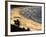 Icapui Beach, with People Fishing and Playing at Sunset-Alex Saberi-Framed Photographic Print