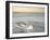 Ice 4-Moises Levy-Framed Photographic Print