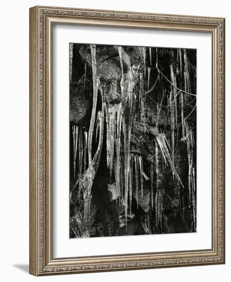 Ice and Branch, Oregon, 1971-Brett Weston-Framed Photographic Print