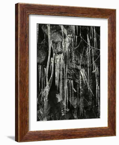 Ice and Branch, Oregon, 1971-Brett Weston-Framed Photographic Print