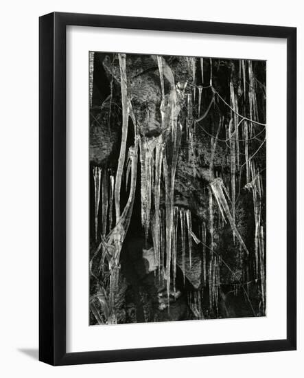 Ice and Branch, Oregon, 1971-Brett Weston-Framed Photographic Print