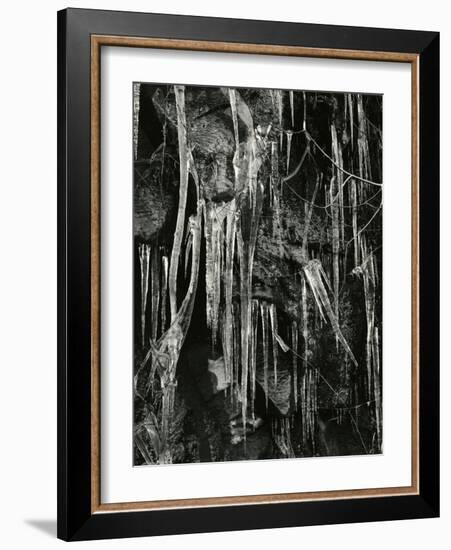 Ice and Branch, Oregon, 1971-Brett Weston-Framed Photographic Print