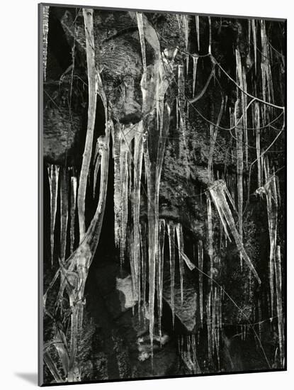 Ice and Branch, Oregon, 1971-Brett Weston-Mounted Photographic Print