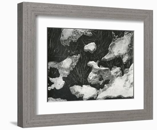 Ice and Grass, High Sierra, California, c. 1950-Brett Weston-Framed Photographic Print