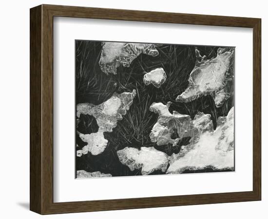 Ice and Grass, High Sierra, California, c. 1950-Brett Weston-Framed Photographic Print