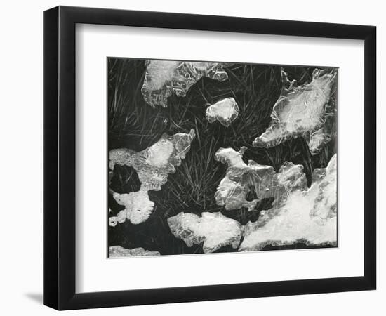 Ice and Grass, High Sierra, California, c. 1950-Brett Weston-Framed Photographic Print