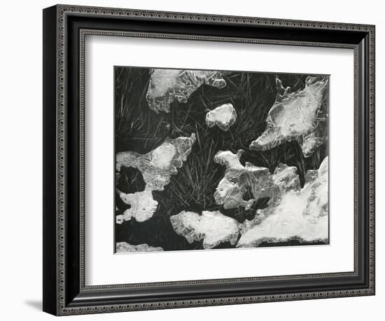 Ice and Grass, High Sierra, California, c. 1950-Brett Weston-Framed Photographic Print