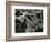 Ice and Grass, Oregon, 1971-Brett Weston-Framed Photographic Print