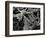 Ice and Grass, Oregon, 1971-Brett Weston-Framed Photographic Print