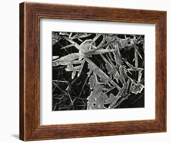 Ice and Grass, Oregon, 1971-Brett Weston-Framed Photographic Print