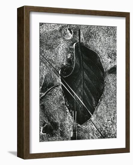 Ice and Leaf, Yosemite, California, 1972-Brett Weston-Framed Photographic Print