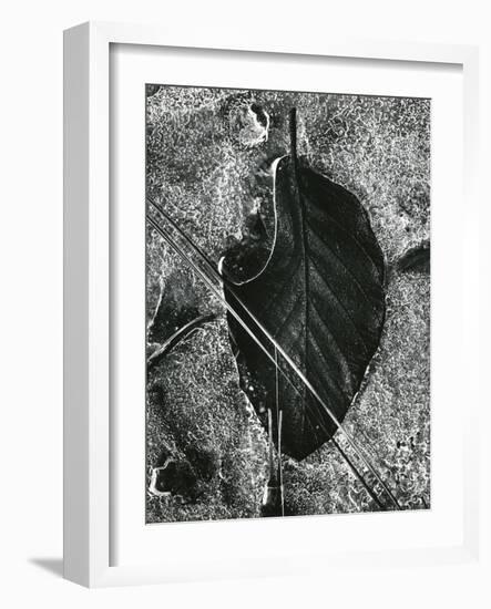 Ice and Leaf, Yosemite, California, 1972-Brett Weston-Framed Photographic Print