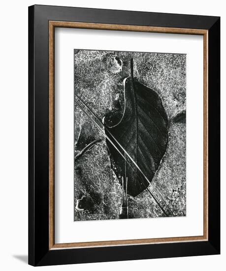 Ice and Leaf, Yosemite, California, 1972-Brett Weston-Framed Photographic Print