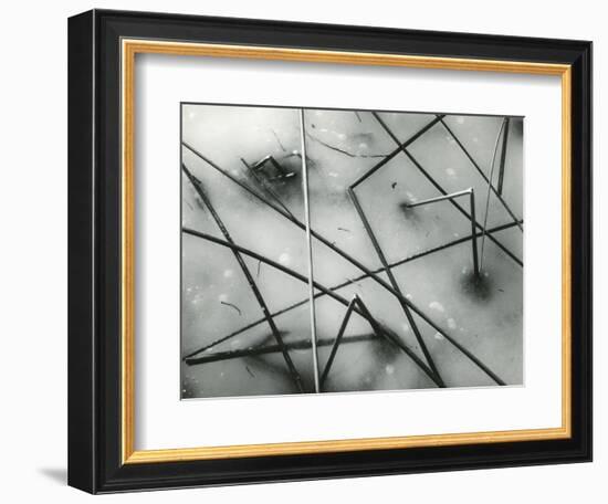 Ice and Reeds, California, 1962-Brett Weston-Framed Photographic Print