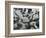 Ice and Rock , c. 1970-Brett Weston-Framed Photographic Print