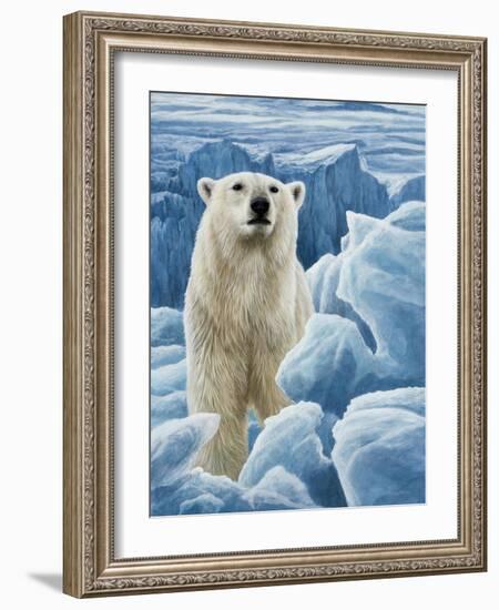 Ice Bear Polar Bear-Jeremy Paul-Framed Giclee Print