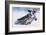 Ice Biker-null-Framed Art Print