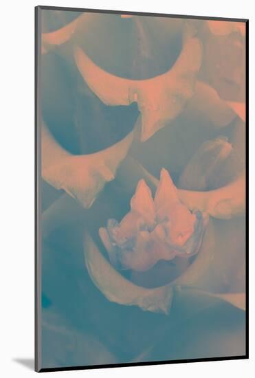 Ice Blue Calathea-Art Wolfe-Mounted Photographic Print