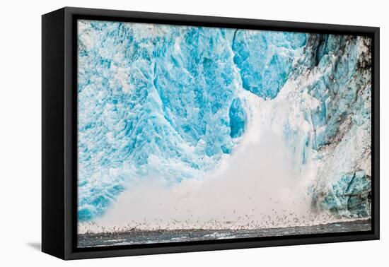 Ice calving off the Holgate Glacier, Kenai Fjords National Park, Seward, Alaska-Mark A Johnson-Framed Premier Image Canvas