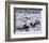 Ice Canoe Races on the St. Lawrence River During Winter Carnival, Quebec, Canada-Alison Wright-Framed Photographic Print