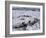 Ice Canoe Races on the St. Lawrence River During Winter Carnival, Quebec, Canada-Alison Wright-Framed Photographic Print