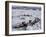 Ice Canoe Races on the St. Lawrence River During Winter Carnival, Quebec, Canada-Alison Wright-Framed Photographic Print