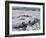 Ice Canoe Races on the St. Lawrence River During Winter Carnival, Quebec, Canada-Alison Wright-Framed Photographic Print