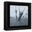 Ice Cattail 1-Gordon Semmens-Framed Premier Image Canvas