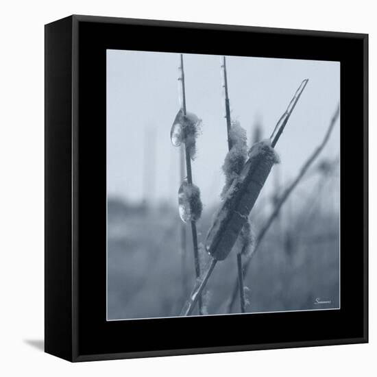 Ice Cattail 1-Gordon Semmens-Framed Premier Image Canvas