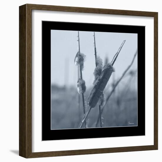 Ice Cattail 1-Gordon Semmens-Framed Giclee Print