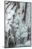 Ice Climber Ascending at Ouray Ice Park, Colorado-Howie Garber-Mounted Photographic Print