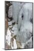 Ice Climber Ascending at Ouray Ice Park, Colorado-Howie Garber-Mounted Photographic Print