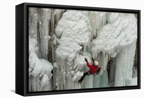 Ice Climber Ascending at Ouray Ice Park, Colorado-Howie Garber-Framed Premier Image Canvas